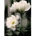 Модульная картина из 2 секций: цветущий белый цветок, выполненная маслом на холсте
